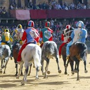 tradizione palio siena