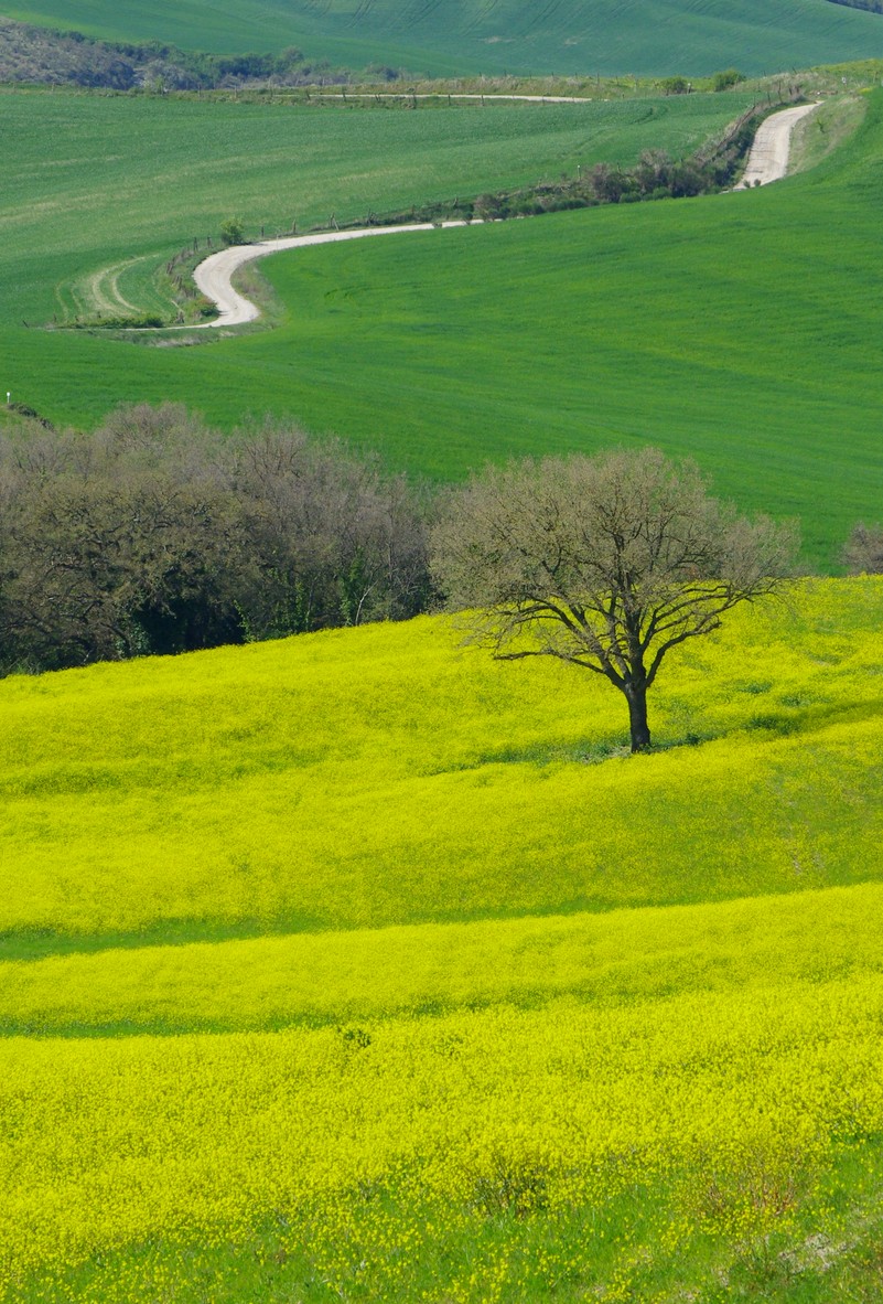 vacanze in toscana