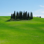 holiday in tuscany